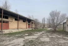 Караколдо аянты 2,52 га болгон соода базасы мэрияга өткөрүп берилди