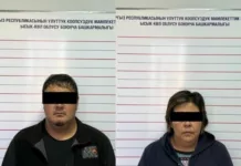 Чоң-Сары-Ой айыл өкмөтүнүн башчысынын мурдагы орун басары кармалды