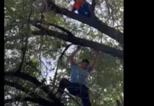 В Бишкеке спасатели сняли с дерева мужчину, пытавшегося покончить с собой
