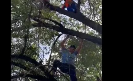 WhatsApp_Image_2025_0UgLPVf.2e16d0ba.format-webp.fill-1668x1014