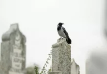 Супруги умерших кыргызстанцев смогут забронировать место рядом на кладбище