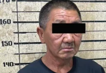 В Бишкеке задержан мужчина, пытавшийся затащить в подвал 6-летнюю девочку