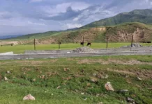 В Панфиловском районе выявлен факт незаконного захвата земельного участка