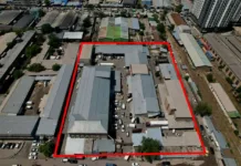 Государству вернули половину акций маслосырбазы