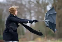 Бишкек менен Чүйдө катуу шамал күтүлүп жатат