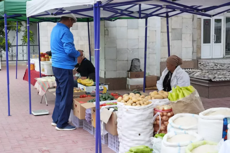 Photo 53257994 kqr9l78. Max 2560x1440. Format webp. Jpegquality 90 в бишкеке проходит выставка-ярмарка
