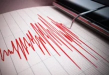 На юге Кыргызстана произошло землетрясение