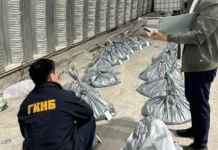 600 млн сомдук баңгизат алынды. УКМК эл аралык баңги каналына бөгөт койду