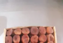 Кыргызстан отправил в Китай первую партию кураги