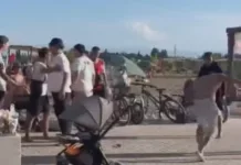 Массовая драка произошла на пляже центра отдыха Palm Beach в селе Чок-Тал, задержаны 6 человек