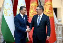 Садыр Жапаров Тажикстандын премьер-министри менен сүйлөшүүлөрдү жүргүздү