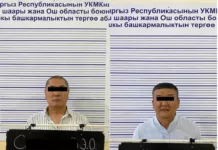 Өзгөндө мыйзамсыз жарандык берүү боюнча коррупциялык схема аныкталды