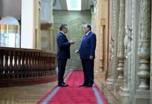 Кыргызстан менен Тажикстан президенттери тет-а-тет форматында жолугушту