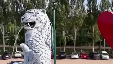videoPreview (1)