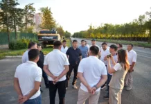 Проспект Айтматова в Бишкеке освободят от деревьев