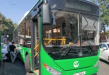 Мэрия Бишкека хочет получить право штрафовать водителей общественного транспорта и такси за определённые нарушения