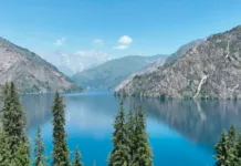 Султан Жумабек уулу Сары-Челек көлүн 2 саат 22 мүнөттө сүзүп өттү