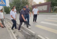 «Какой гений это сделал? Э! Смотри» — мэр Бишкека в шоке от зебры