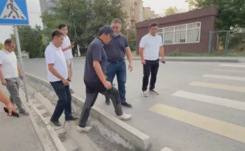 “Какой гений это сделал? Э! Смотри” — мэр Бишкека в шоке от зебры