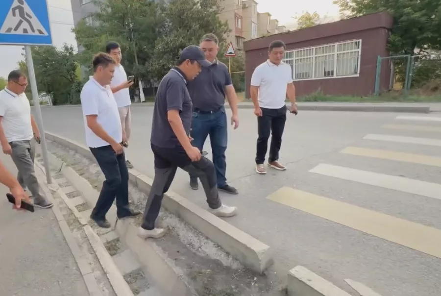 31ea45415e908593569a486befedbbb3 XL "Какой гений это сделал? Э! Смотри" — мэр Бишкека в шоке от зебры