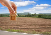 Прокуратура выявила коррупционные схемы при передаче земель в Бишкеке