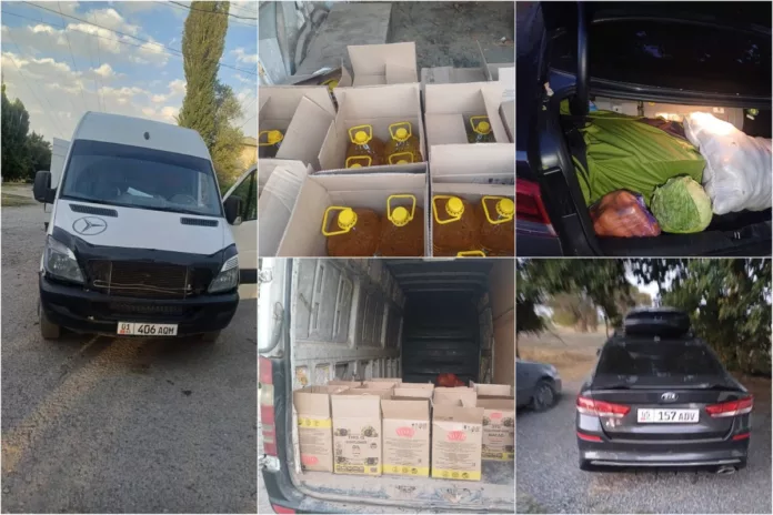 Без названия (12)