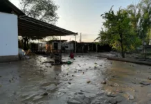 Шашылыш билдирүү: Ысык-Көл жана Нарында сел жүрүшү мүмкүн