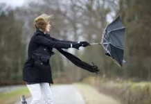 Штормовое предупреждение: в Бишкеке и Чуйской области будет сильный ветер