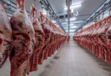 Рост цен на мясо. ГКНБ задержал замглавы Минсельхоза и еще ряд чиновников