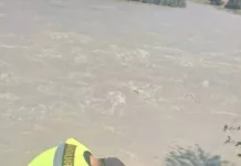 Көпүрө сынып, Нарын дарыясына түшүп кеткен айдоочунун сөөгү табылды