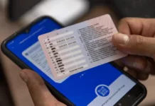 Замена водительских удостоверений теперь доступна онлайн через «Тундук»