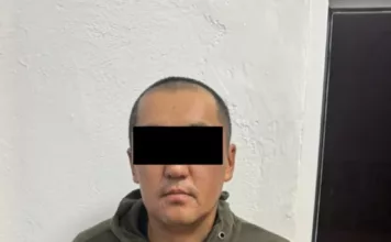 Обвиняемого в убийстве Айсулуу Мукашевой взяли под стражу на два месяца