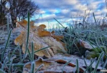 Шашылыш билдирүү! Аба ырайы кескин өзгөрөт