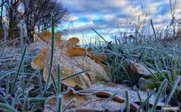 Шашылыш билдирүү! Аба ырайы кескин өзгөрөт