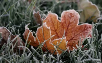 Шашылыш билдирүү! Кыргызстанда аба ырайы кескин сууктап, кар жаап, үшүк жүрөт