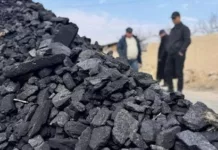 В Кыргызстане введено временное госрегулирование цен на уголь