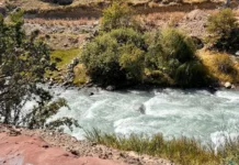 Аламүдүн суусуна түшүп кеткен аял 3 күндөн бери изделип жатат