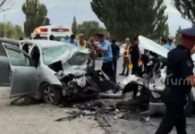 В страшной аварии близ Токмака погибли 5 человек, в том числе 11-летний ребёнок.