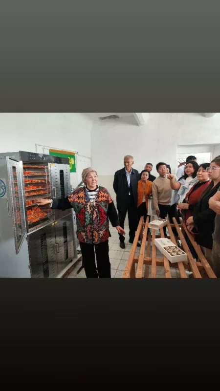 398165 в таласе прошел фестиваль органической продукции