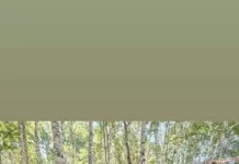 В Таласе прошел фестиваль органической продукции