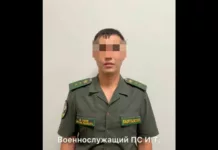 Задержаны пограничник и иностранец за незаконное пересечение границы