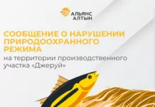 “Жерүй” өндүрүштүк участогунун аймагында экологиялык эрежелердин бузулушу жөнүндө билдирүү