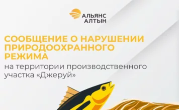 “Жерүй” өндүрүштүк участогунун аймагында экологиялык эрежелердин бузулушу жөнүндө билдирүү