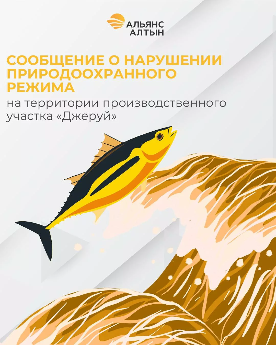 540971347 1087732323339733 321952749901773431 n "Жерүй" өндүрүштүк участогунун аймагында экологиялык эрежелердин бузулушу жөнүндө билдирүү