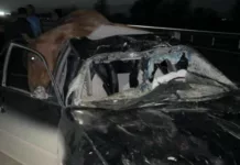 На Иссык-Куле автомобиль врезался в табун лошадей