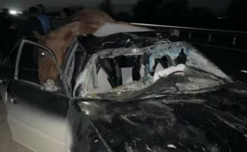 На Иссык-Куле автомобиль врезался в табун лошадей