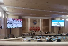 Депутаты одобрили возвращение школам статуса гимназий и лицеев