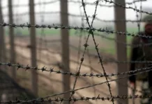 Узбекские пограничники застрелили двух кыргызстанцев на границе