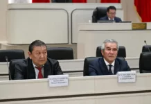 Жогорку Кенеш избрал двух новых членов ЦИК