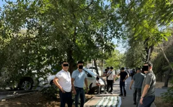 ГКНБ задержал начальника Чаткальского лесхоза Лесной службы при МЧС за взятку